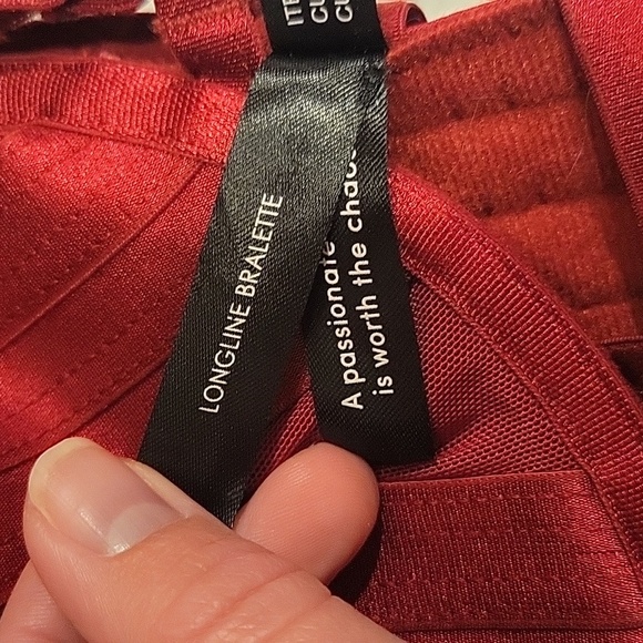 Torrid Longline Overt Strappy Mesh Underwire Bra Size 3 - Picture 11 of 12